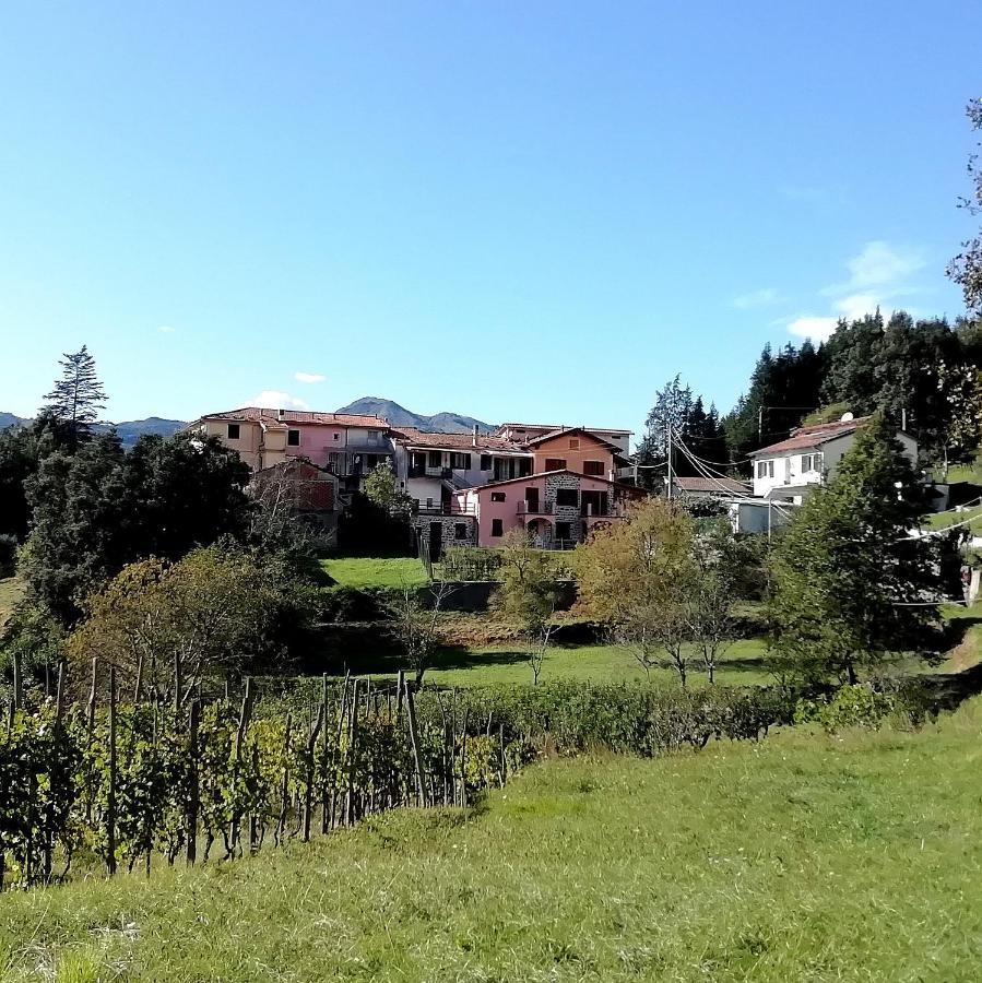 Lissahouse Agriturismo San Pietro Vara Экстерьер фото