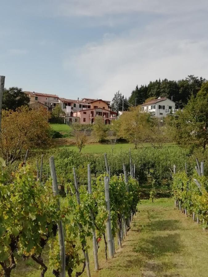 Lissahouse Agriturismo San Pietro Vara Экстерьер фото